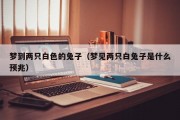 梦到两只白色的兔子（梦见两只白兔子是什么预兆）